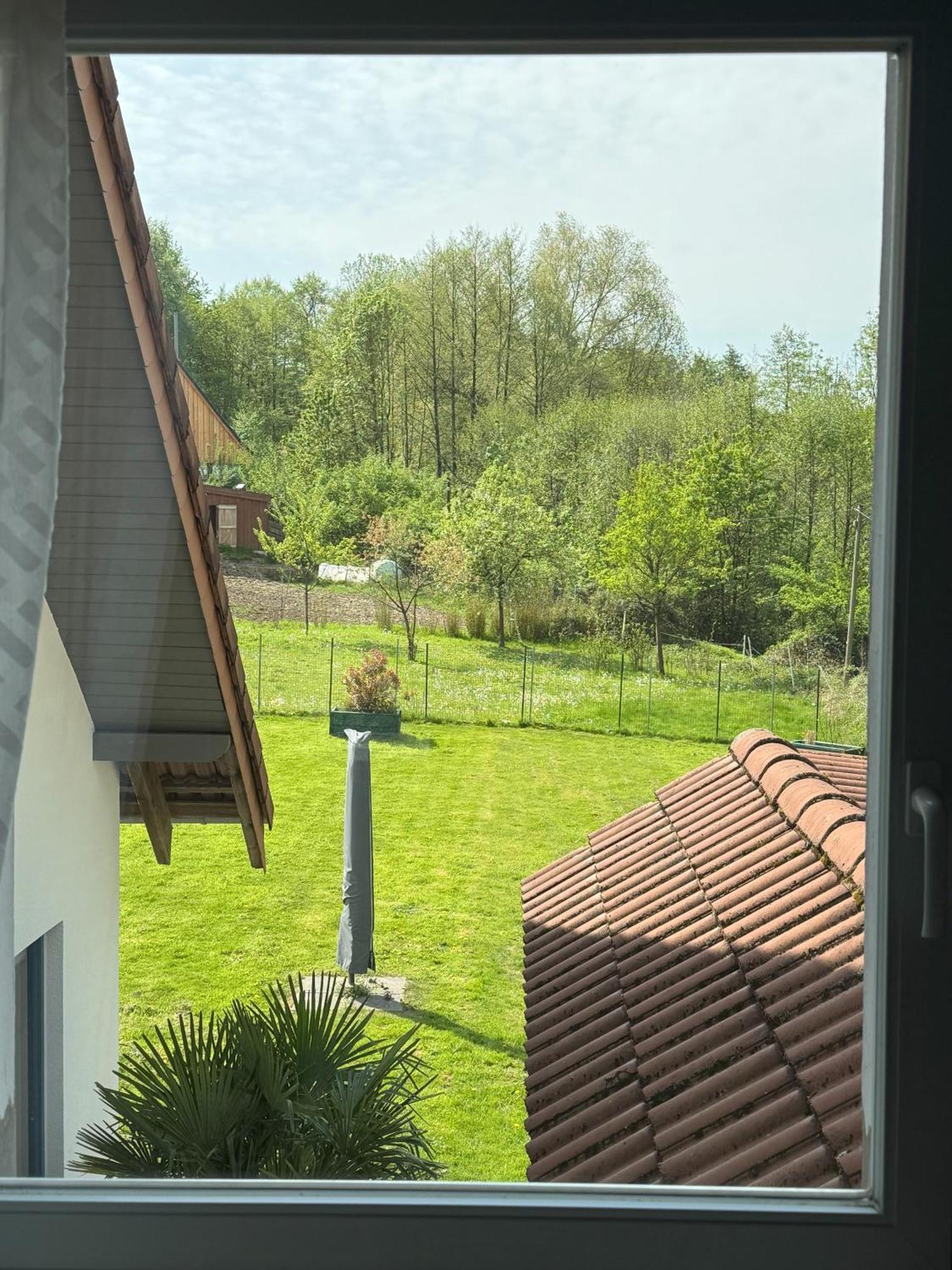 Urlaub Im Naturschutzgebiet デトモルト エクステリア 写真