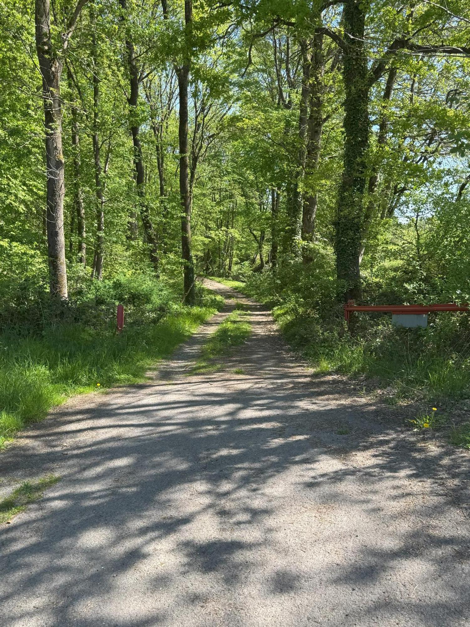 Urlaub Im Naturschutzgebiet デトモルト エクステリア 写真